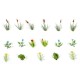 Water and Riverside Plants OO / TT Water and Riverside Plants OO / TT