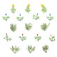 Wild Flowers  OO