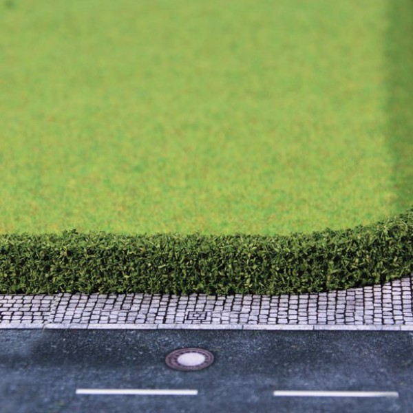Model Hedge Medium green Privet or Thuja hedge LOW