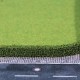Model Hedge Medium green Privet or Thuja hedge LOW
