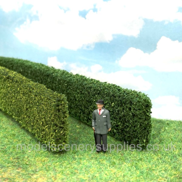 Model Hedge Light Green Privet or Thuja Hedge TALL
