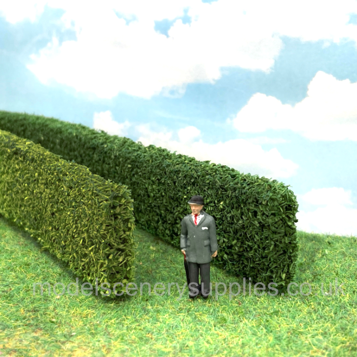 Model Hedge Medium green Privet or Thuja hedge TALL