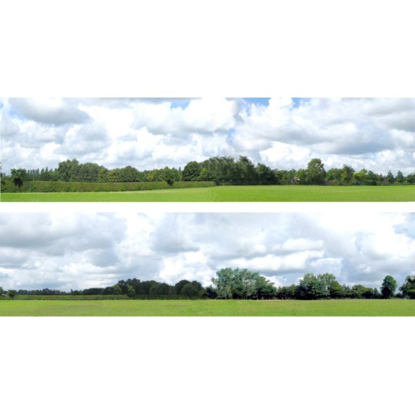 Backscene Countryside 109A OO 15 inch tall