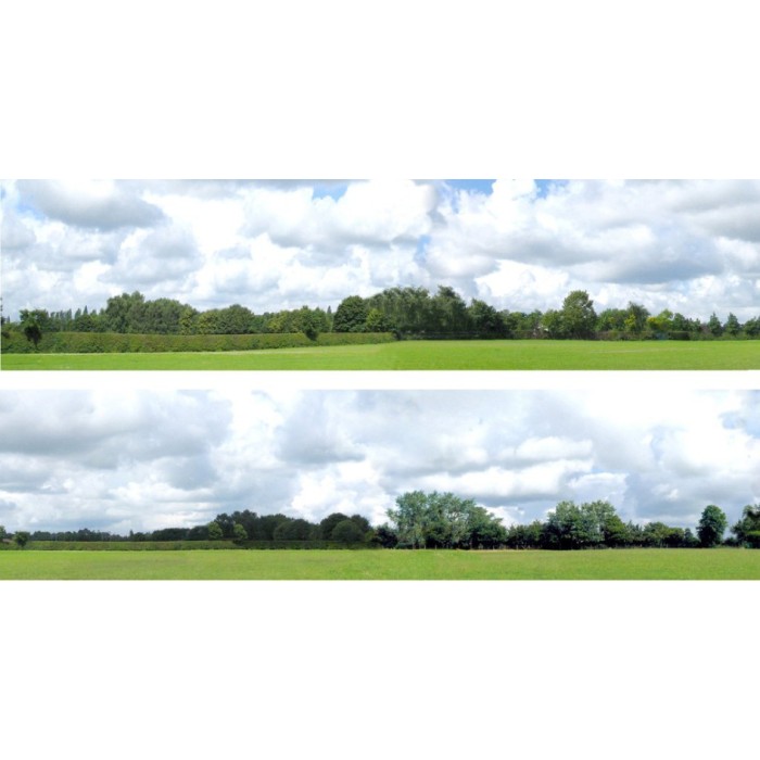 Backscene Countryside 109A OO 15 inch tall Backscene Countryside 109A OO 15 inch tall