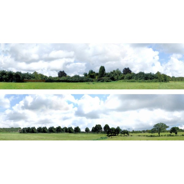 Backscene Countryside 109B OO 15 inch tall