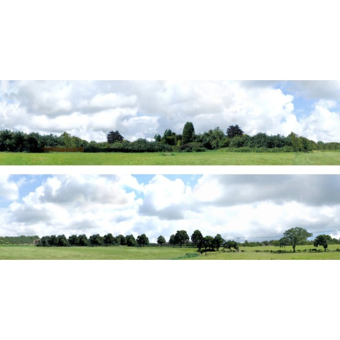 Backscene Countryside 109B OO 15 inch tall