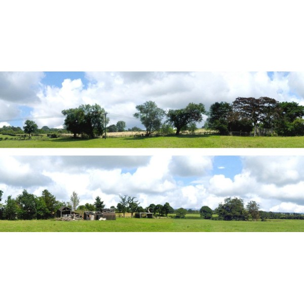 Backscene Countryside 109C OO 15 inch tall