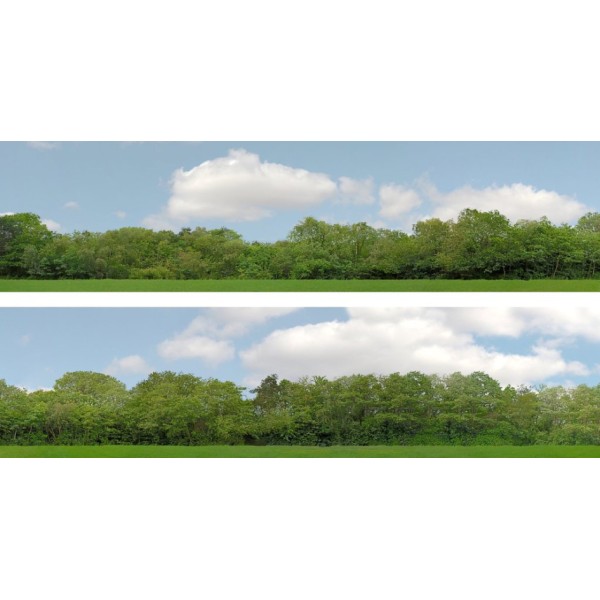 Backscene Trees pack 147A  OO 15 inch tall
