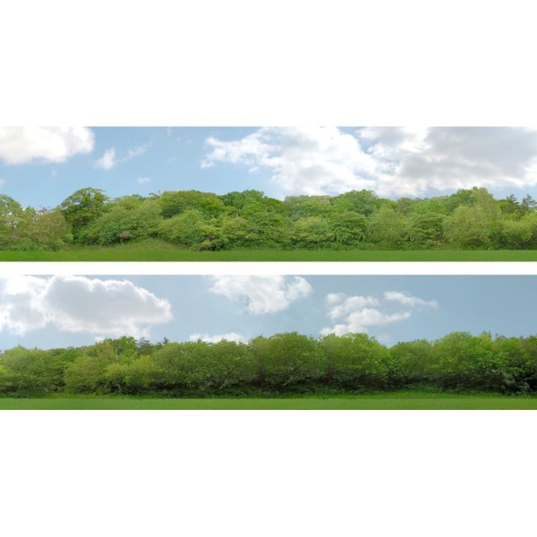 Backscene Trees pack 147B  OO 15 inch tall