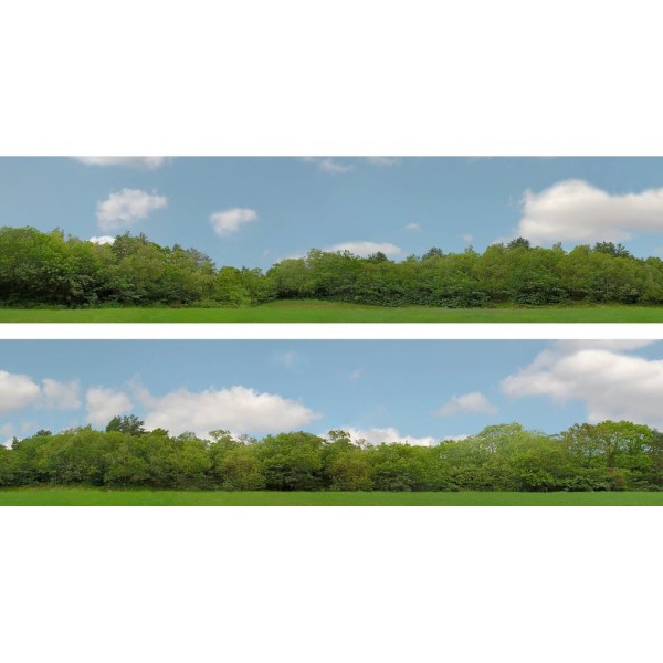 Backscene Trees pack 147C  OO 15 inch tall