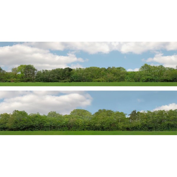 Backscene Trees pack 147D  OO 15 inch tall