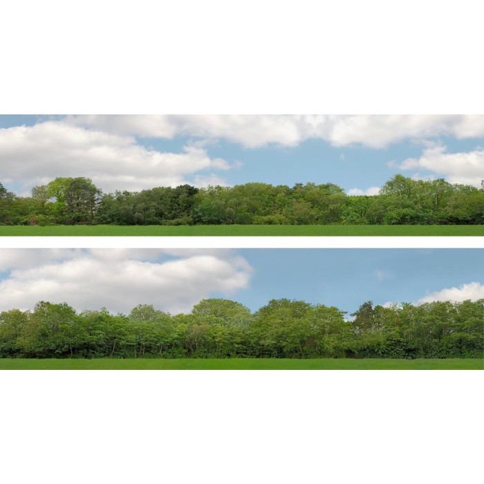 Backscene Trees pack 147D OO 15 inch tall Backscene Trees pack 147D OO 15 inch tall