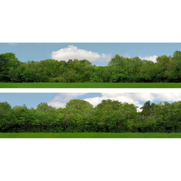 Backscene Tall Trees pack 149A  1:43 scale 15inch
