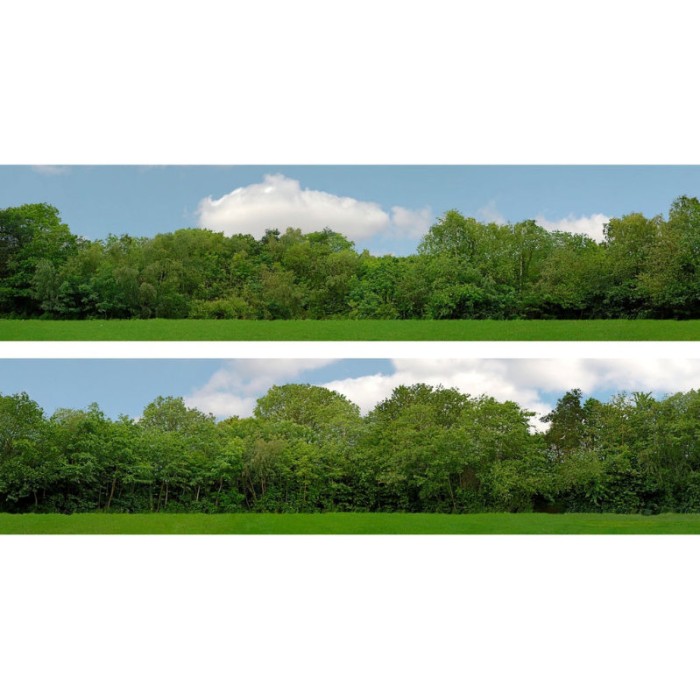 Backscene Tall Trees pack 149A 1:43 scale 15inch Backscene Tall Trees pack 149A 1:43 scale 15inch