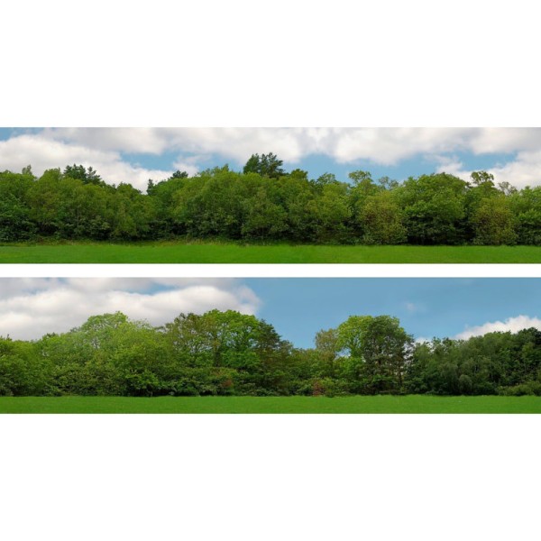 Backscene Tall Trees pack 149D 1:43 scale 15inch