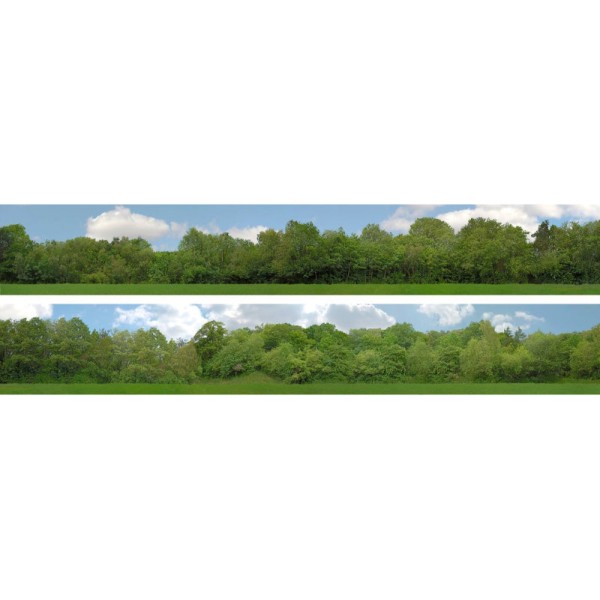 Backscene Tall Trees 149A N gauge and OO Self Adhesive