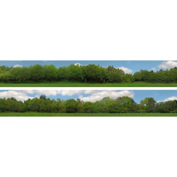 Backscene Tall Trees 149B N gauge and OO Self Adhesive