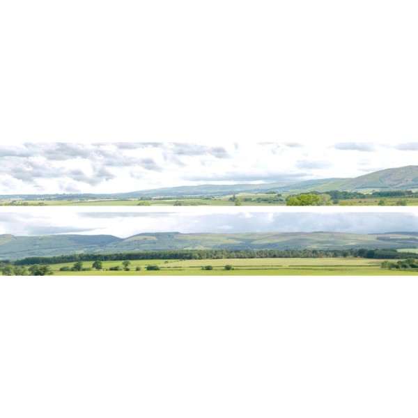 Backscene Hills And Dales 208A OO 9Inch Tall