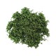 Dark Green Coarse Grass Javis Gaming Materials TUBCG3