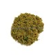 Marsh Land Coarse Grass Javis Gaming Materials TUBCG9