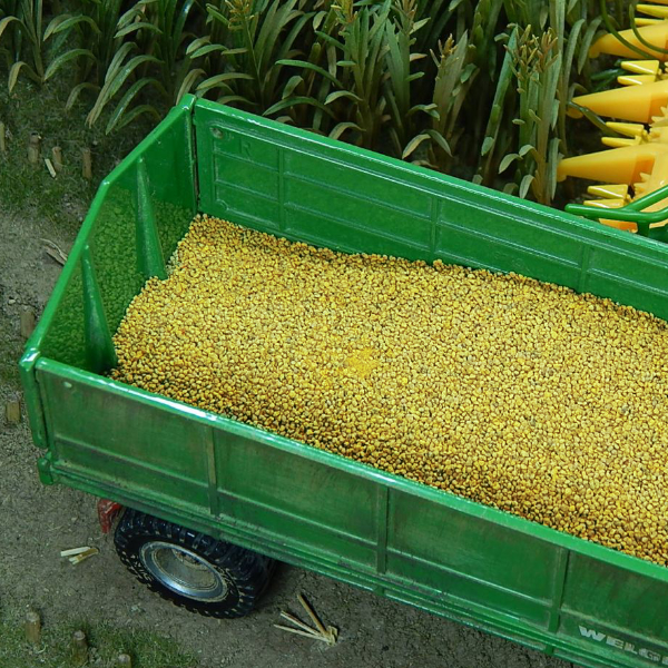 Maize 1:32 scale