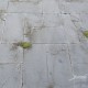 Concrete Slabs 70 x 35mm Juweela 23390 Concrete Slabs 70 x 35mm Juweela 23390