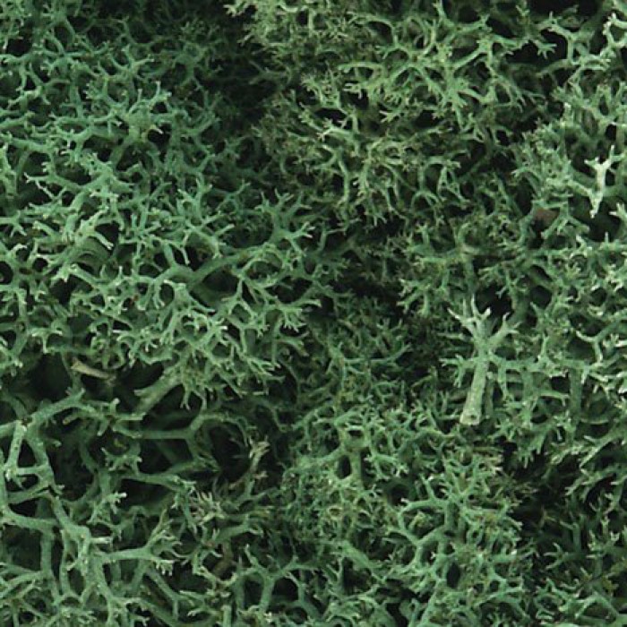 Lichen Medium Green Woodland Scenics L163 Lichen Medium Green Woodland Scenics L163