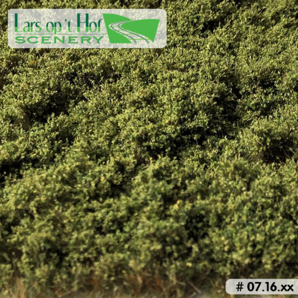 Bushes Low Light Green Lars op t Hof Scenery