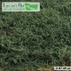 Bushes High Hazy Green Lars op t Hof Scenery Bushes High Hazy Green Lars op t Hof Scenery
