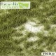 Grass tufts - Spring green Lars op 't Hof Scenery Grass tufts - Spring green Lars op 't Hof Scenery