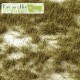 Grass tufts - Autumn green Lars op 't Hof Scenery Grass tufts - Autumn green Lars op 't Hof Scenery