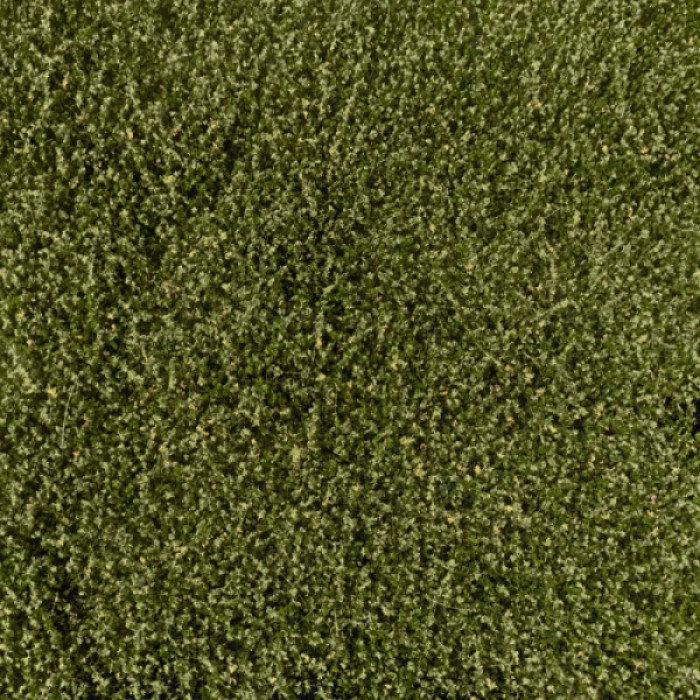 Weeds Light Green Lars op 't Hof Scenery