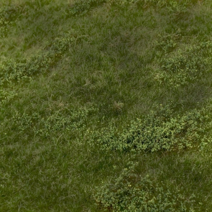 Landscape Mat Grass, Pasture with Weeds summer.  Lars op 't Hof Scenery