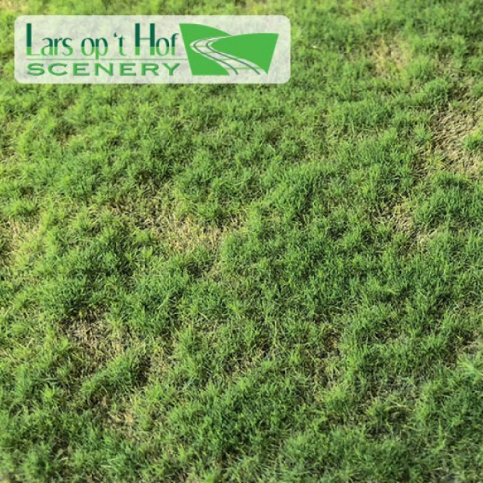 Landscape Mat Grass, Pasture Spring - Short.  Lars op 't Hof Scenery