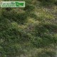 Landscape Mat Forest Floor. Lars op 't Hof Scenery Landscape Mat Forest Floor. Lars op 't Hof Scenery