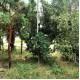 Landscape Mat Forest Floor. Lars op 't Hof Scenery Landscape Mat Forest Floor. Lars op 't Hof Scenery