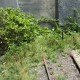 Weeds Light Green Lars op 't Hof Scenery
