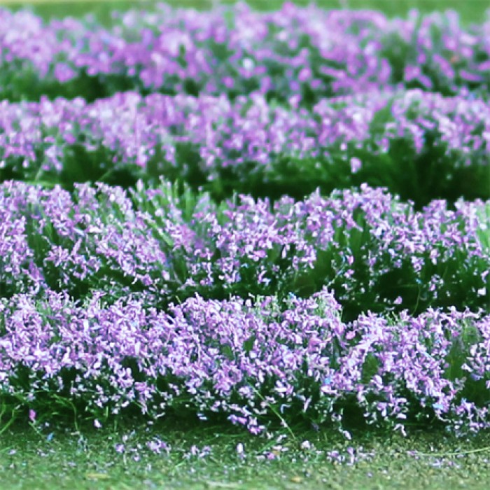 Lavender Rows Lavender Rows