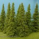 Larch Trees 150mm tall Model Scene MO150
