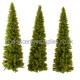 Larch Trees 200mm tall