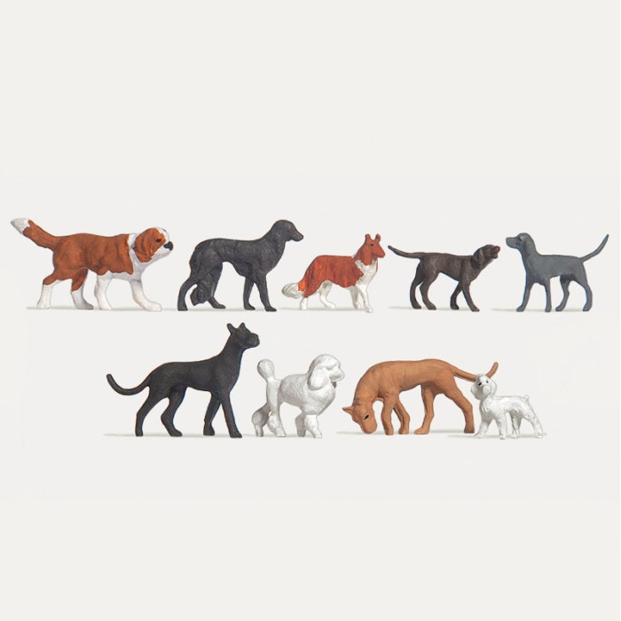 Dogs OO