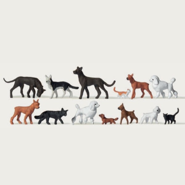 Dogs and Cats OO