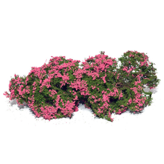 Model red flowering bushes