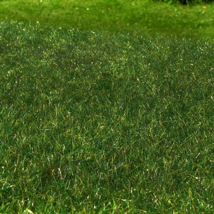 Landscape Static Grass Mat Summer Meadow Grass Model Scene F022 Landscape Static Grass Mat Summer Meadow Grass Model Scene F022