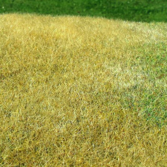 Landscape Static Grass Mat Late Summer Meadow Grass Model Scene F023