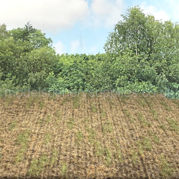 Stubble Field OO