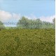 Landscape Mat Grass and Low Bushes, Spring Model Scene F501 Landscape Mat Grass and Low Bushes, Spring Model Scene F501
