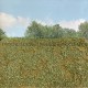 Landscape Mat Grass and Low Bushes, Late Summer Model Scene F503 Landscape Mat Grass and Low Bushes, Late Summer Model Scene F503