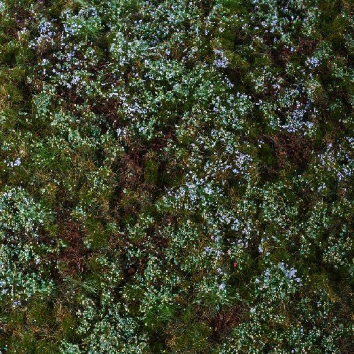 Blueberries minipack landscape mat Blueberries minipack landscape mat