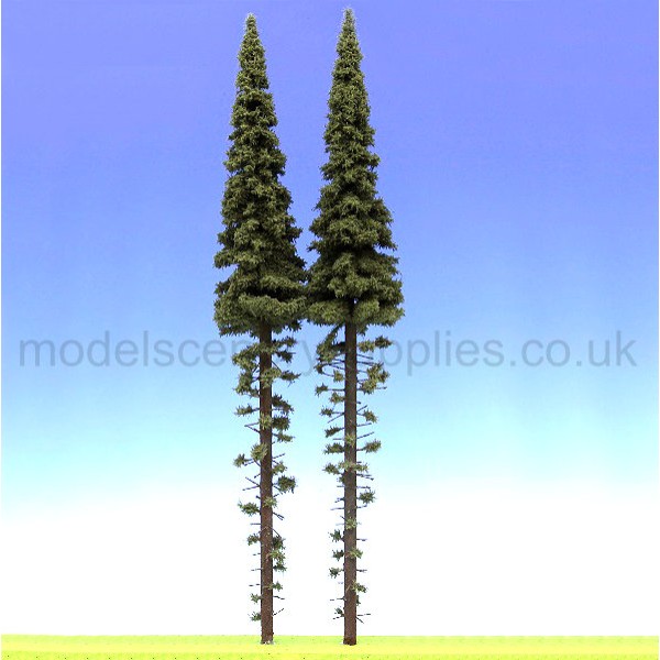 Spruce Trees with dead branches 425mm tall O gauge